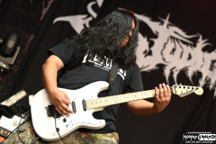 Judiciary