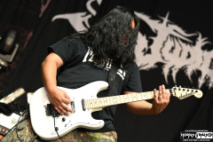 Judiciary