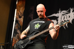 Judiciary