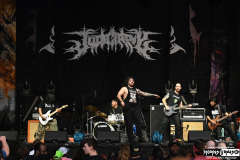 Judiciary