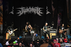 Judiciary
