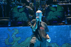 Lamb of God