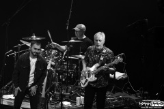 Leonid & Friends