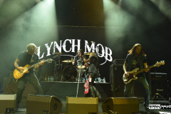 Lynch Mob