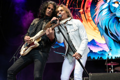White Lion