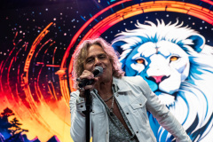 White Lion