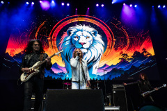 White Lion