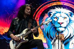 White Lion