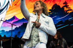 White Lion