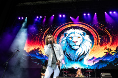 White Lion
