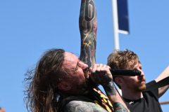 Massive Wagons