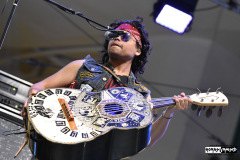 Metalachi