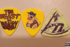 Metallica picks