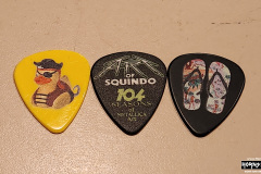 Metallica picks
