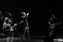 Miles Schon\'s Journey Experience