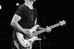 Miles Schon\'s Journey Experience