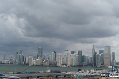 Miami skyline