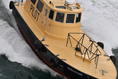 Pilot escort