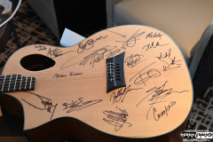 Guitar for charity auction