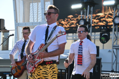 Nerd Halen
