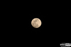 Almost full moon