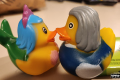 He's touching her shells!