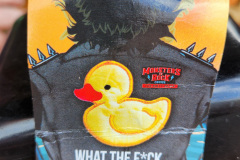 What the duck?