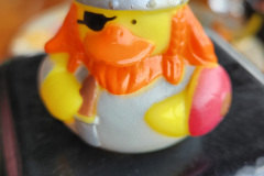 The Duck