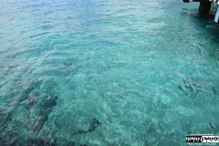 Cozumel water