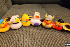 Collectively we found 6 ducks/cabin contest entries