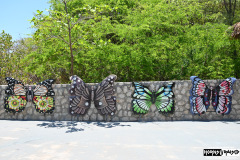 Butterfly art