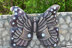 Butterfly art