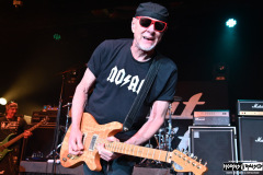 Great White