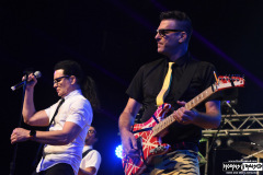 Nerd Halen