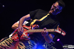 Nerd Halen