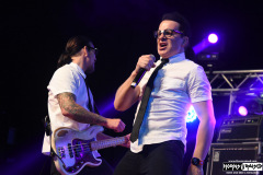 Nerd Halen