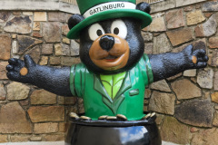 Bears everywhere