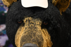Venue\'s stuffed bear