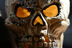 Skull in the Rock Market