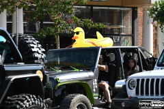 Jeeps everywhere