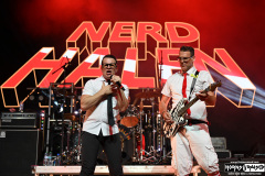 Nerd Halen