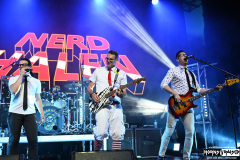 Nerd Halen