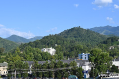 View from the venue