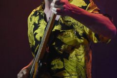 Moon Safari