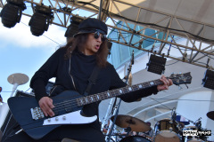 Michael Grant & The Assassins