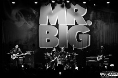Mr. Big