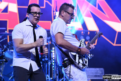 Nerd Halen 