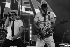 Nerd Halen 