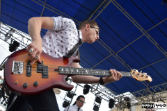 Nerd Halen
