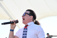 Nerd Halen